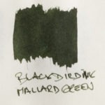 Blackbird Mallard Green