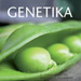 Genetika – fotografie pro obálku